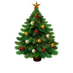 Kerstboom versieren familie menu beleef tv